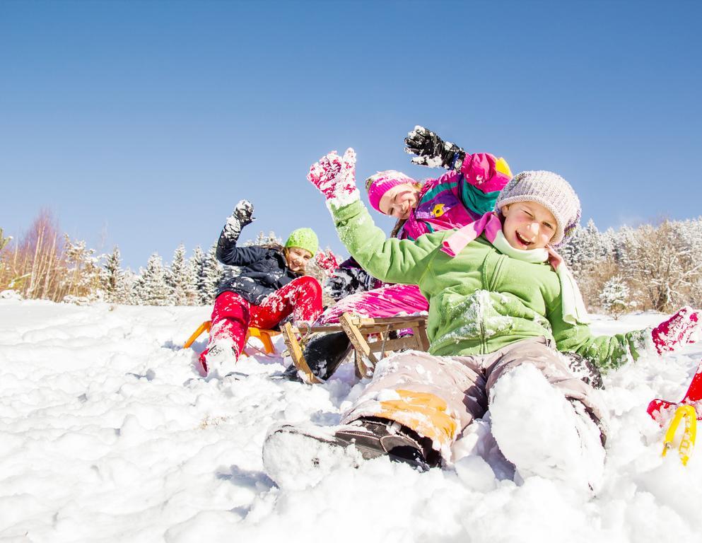 Alpina Zillertal . Family Lifestyle Kinderhotel Фюген Экстерьер фото